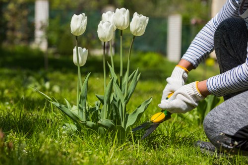 Community gardeners working together in a park