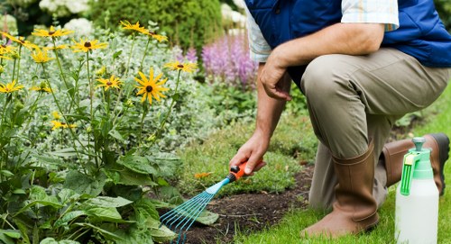 Garden clearance in a terraced house yard with debris removal