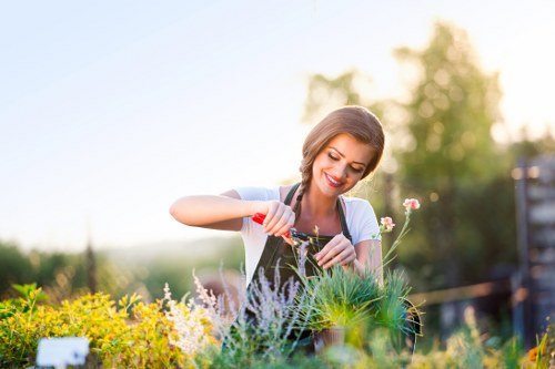 Beautiful garden maintained by Gardeners Newham