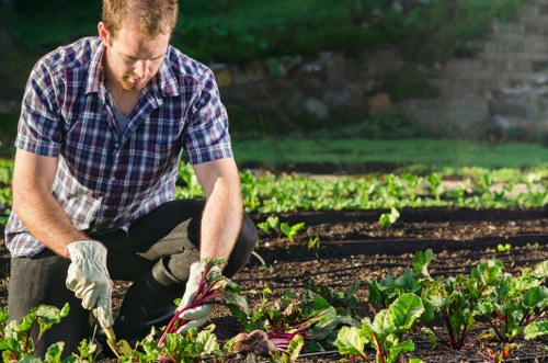 Professional gardeners working in Newham